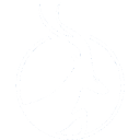 Antelope Enterprise Holdings Limited Class A Ordinary Shares Share Price